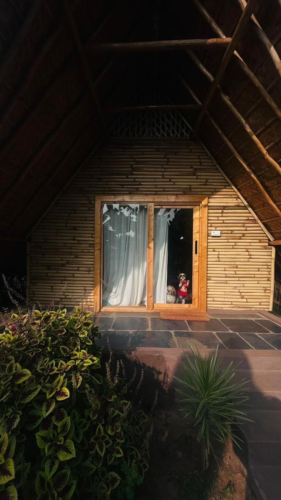 Tropical Hampi Hotel Eksteriør billede